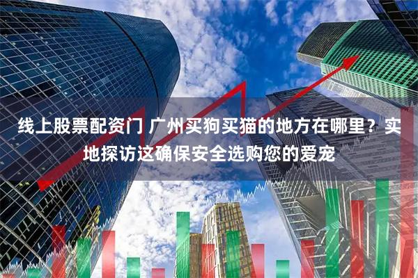 线上股票配资门 广州买狗买猫的地方在哪里？实地探访这确保安全选购您的爱宠